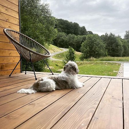 Mini Valley House 1 Sita Buzăului 외부 사진