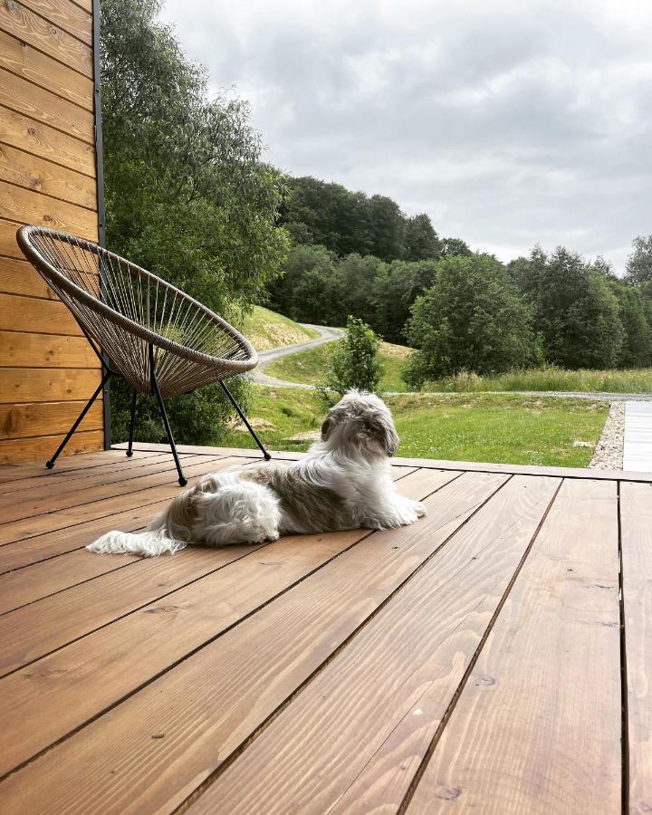 Mini Valley House 1 Sita Buzăului 외부 사진